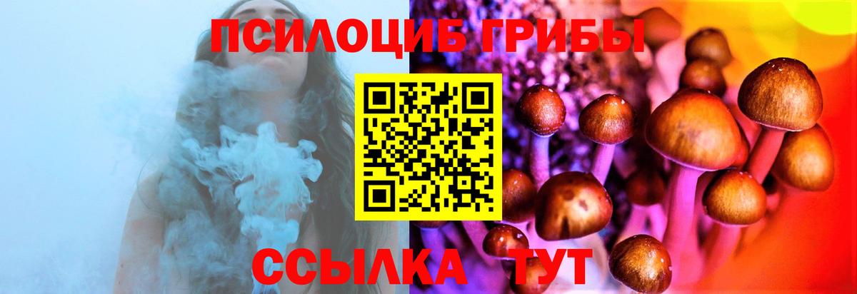 Галлюциногенные грибы GOLDEN TEACHER  Вход с VPN  Артём  Галлюциногенные грибы MAGIC MUSHROOMS 